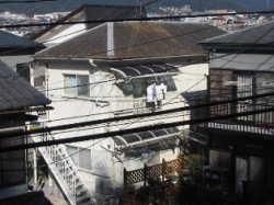 東海ロイヤル